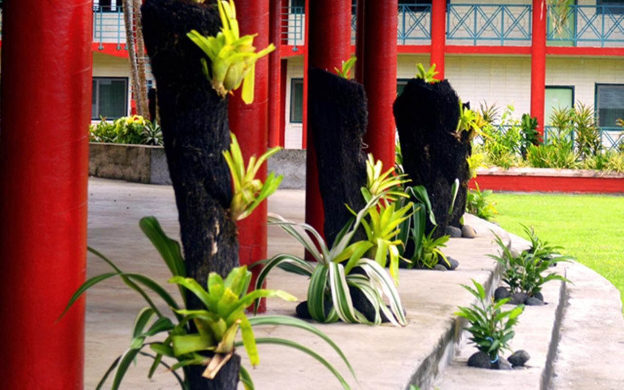 The St Therese Samoa Retreat And Accommodation Tuana'i エクステリア 写真